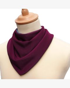 Neckerchief Clothes Protectors