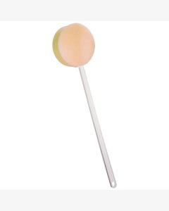 Exfoliating Sponge